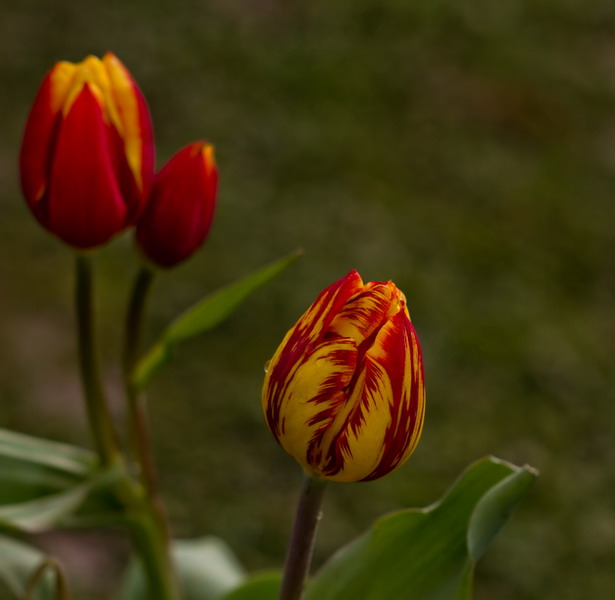 img_6170_СС.jpg