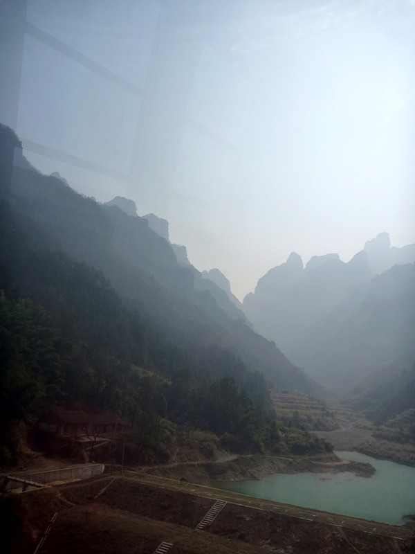 p1140157_.jpg