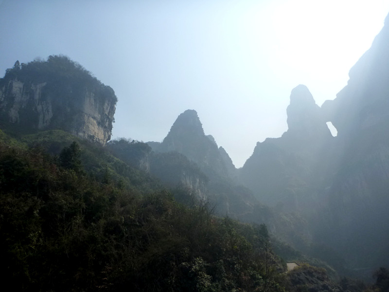 p1140166_.jpg