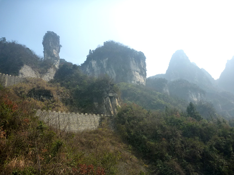 p1140165_.jpg