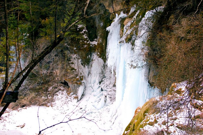 _mg_5931.jpg