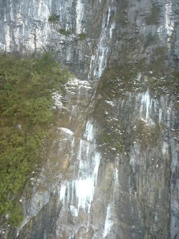 p1140182_.jpg