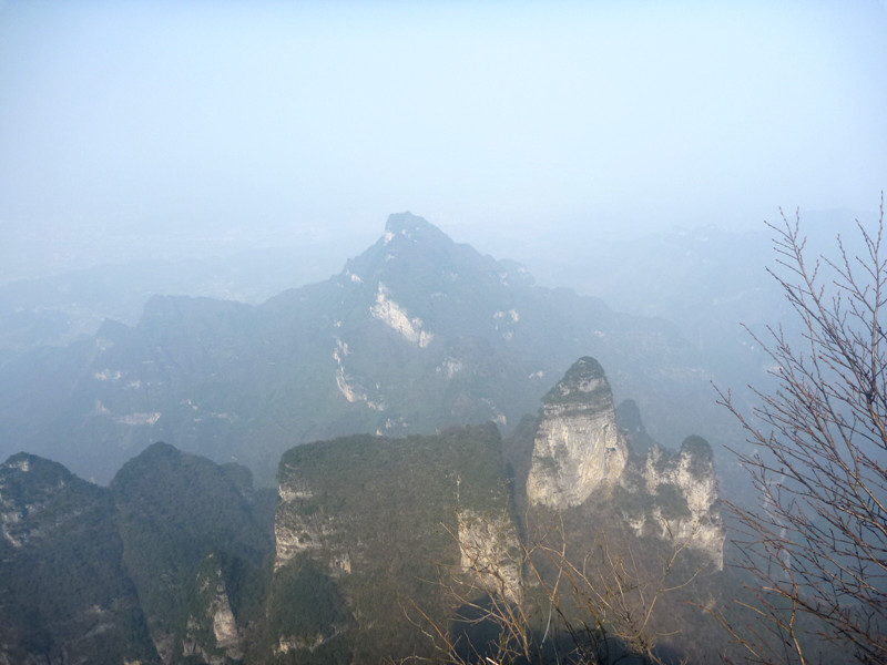 p1140198_.jpg