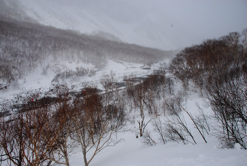 dsc_4642.jpg