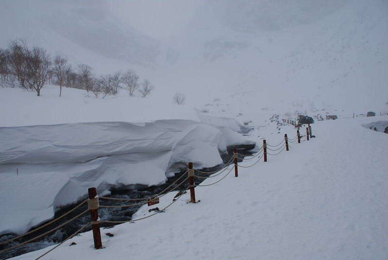 dsc_4692.jpg