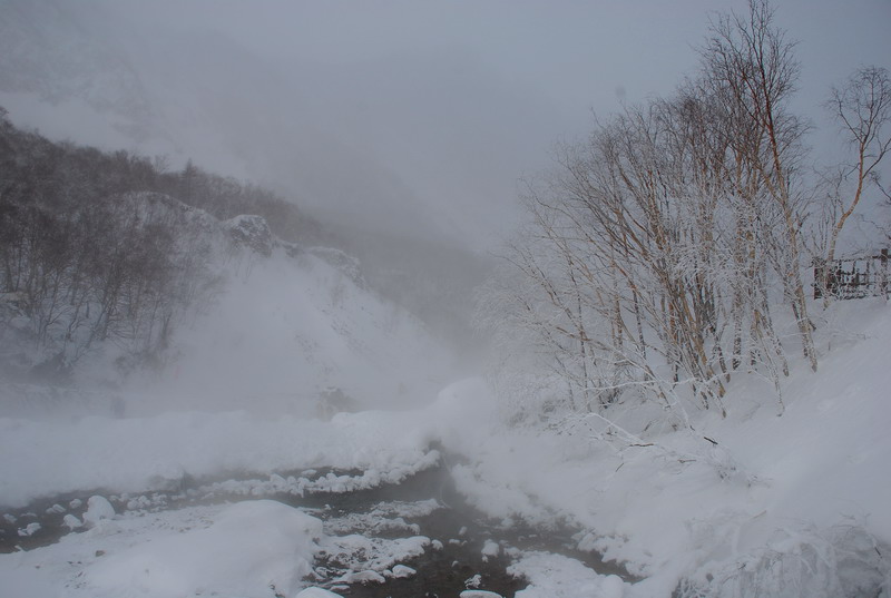 dsc_4667.jpg