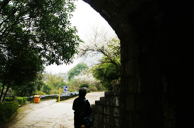 dsc09508.jpg