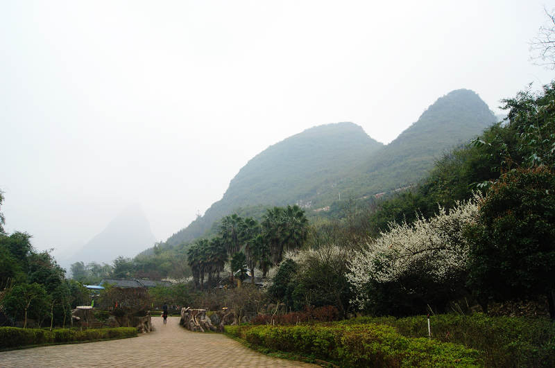 dsc09532.jpg