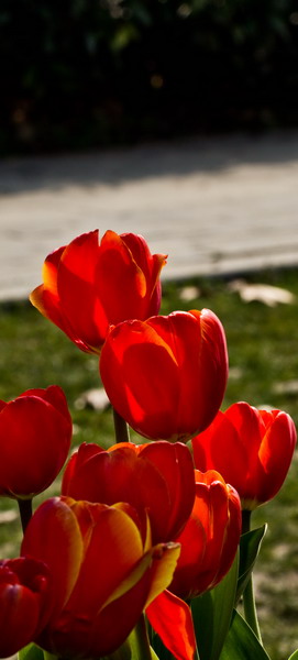 img_6354_СС.jpg