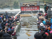 dscf4962.jpg