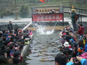 dscf4963.jpg