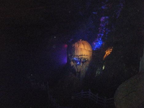 dscf5001.jpg