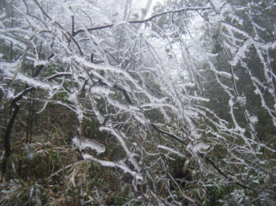 dscf5012.jpg