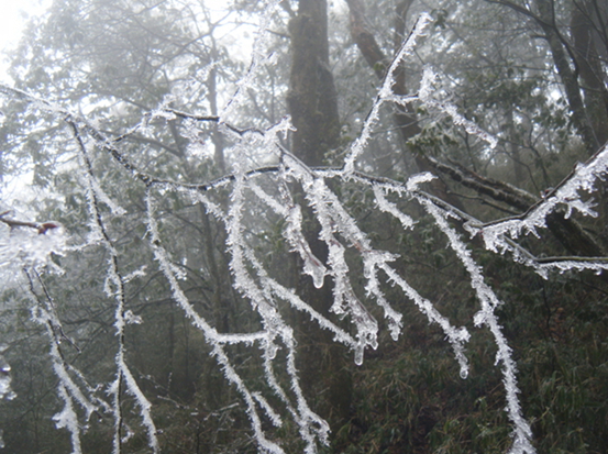 dscf5015.jpg