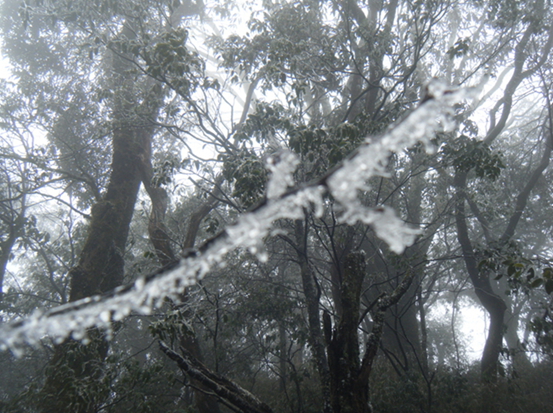 dscf5014.jpg