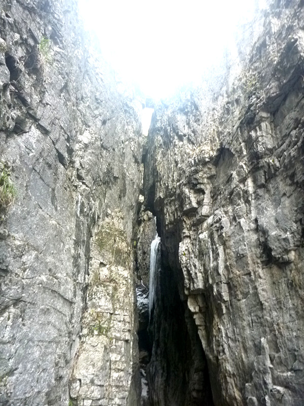 p1140220_.jpg