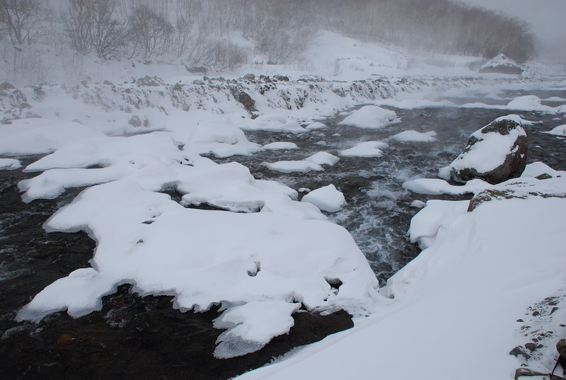 dsc_4736.jpg