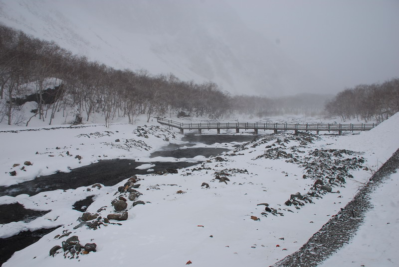 dsc_4767.jpg