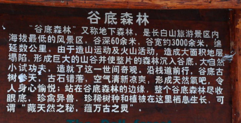 dsc_4835.jpg