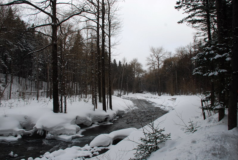 dsc_4873.jpg