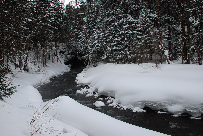 dsc_4877.jpg