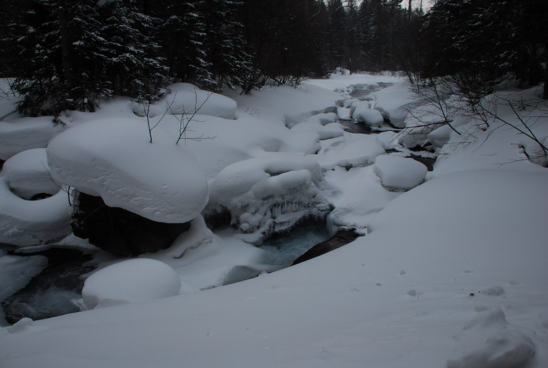 dsc_4901.jpg