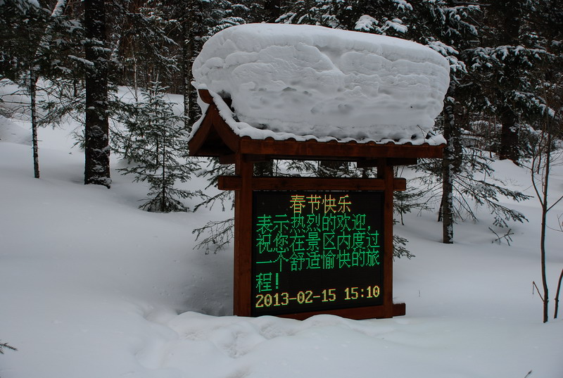dsc_4967.jpg