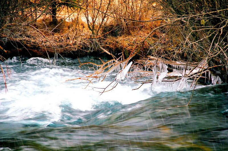 _mg_6402.jpg