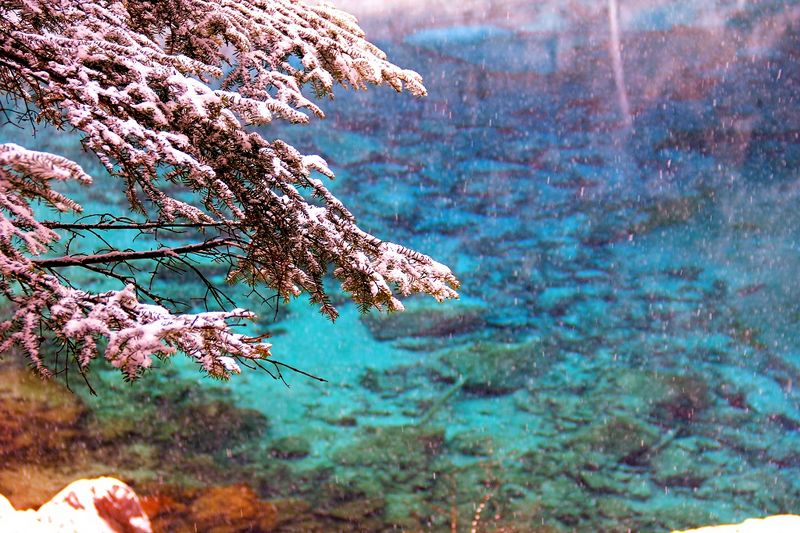 _mg_6463.jpg
