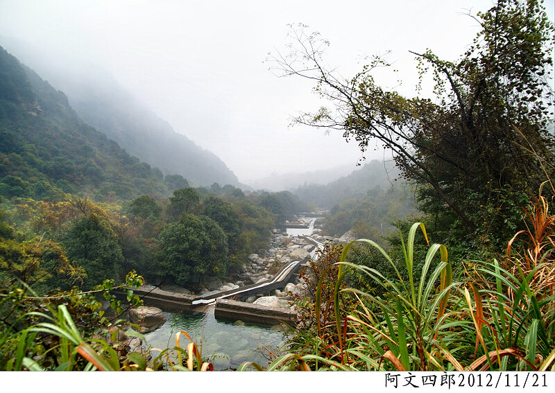 dsc08383.jpg