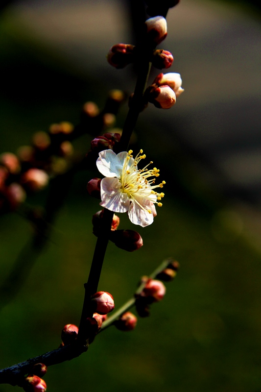 img_3759.jpg