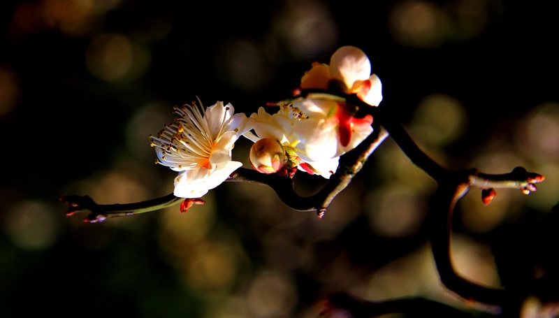 img_3807.jpg
