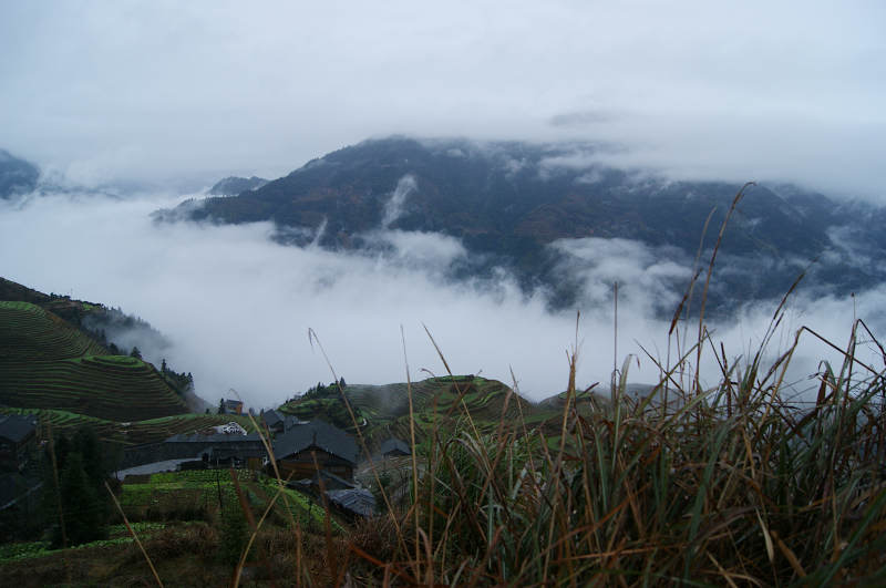 dsc09778.jpg