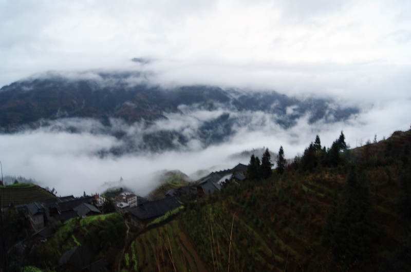 dsc09797.jpg