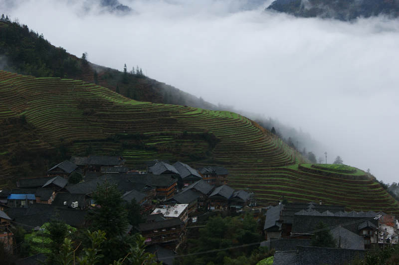 dsc09810.jpg