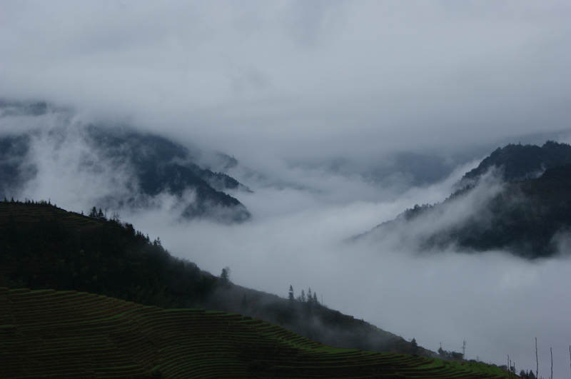 dsc09806.jpg