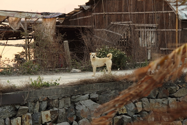 neo_img_dpp_20133.jpg
