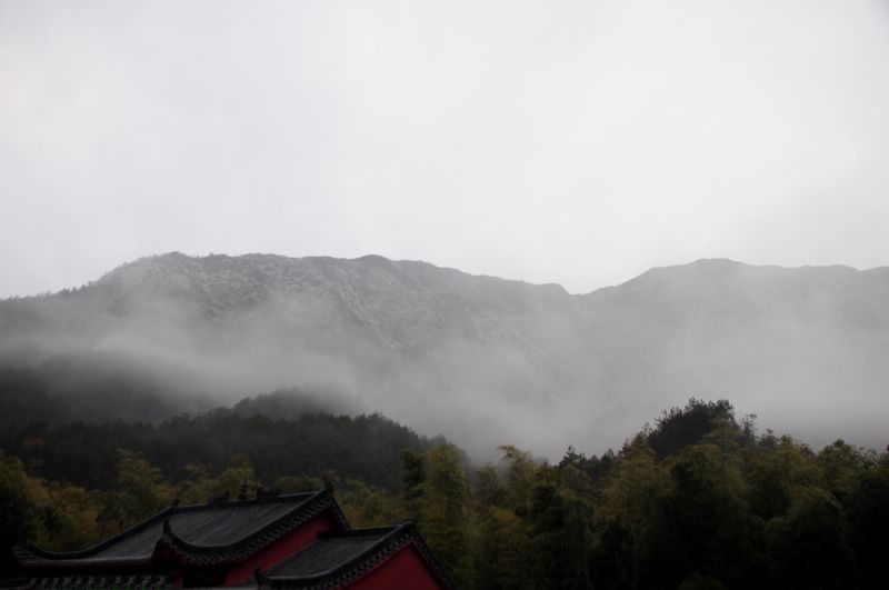dsc_0132.jpg