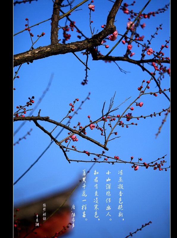 neo_img_img_9241.jpg