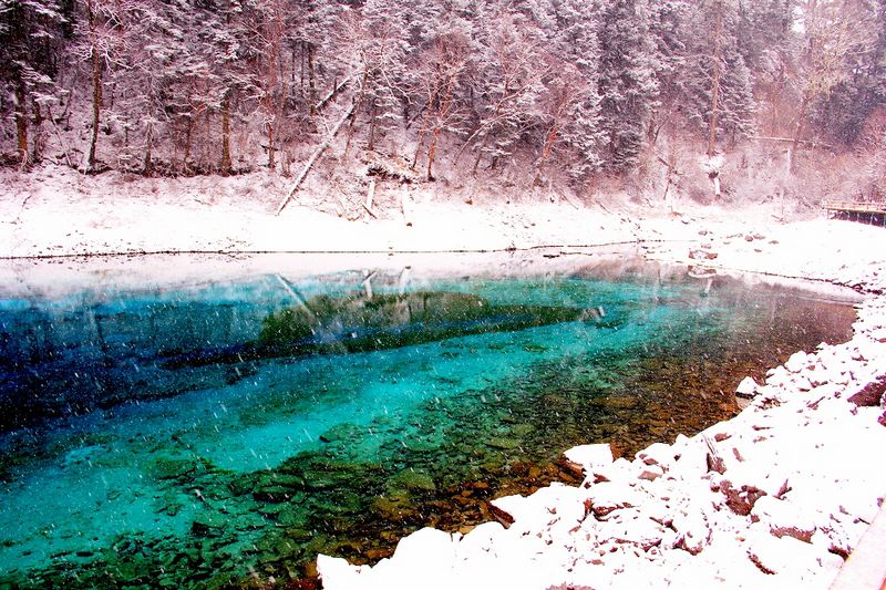 _mg_6486.jpg