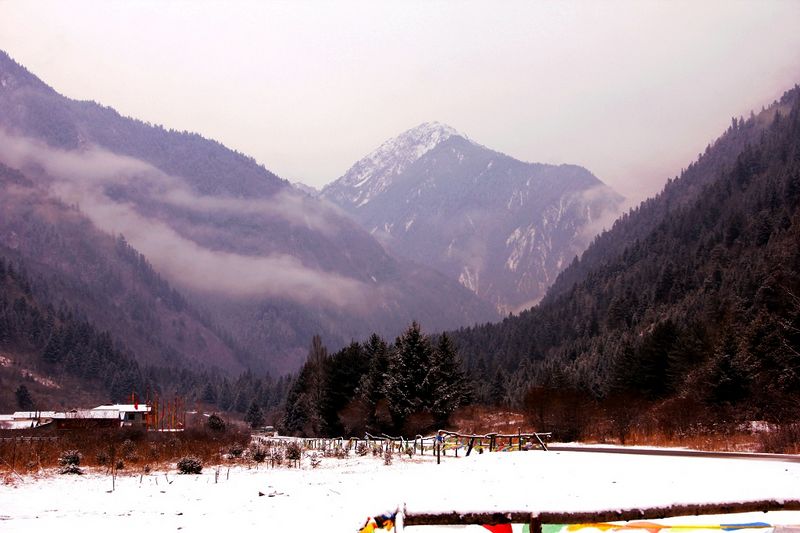 _mg_6644.jpg