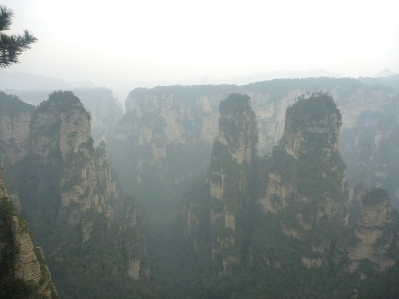 p1140279_.jpg