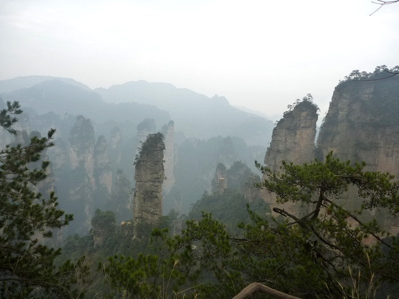p1140278_.jpg