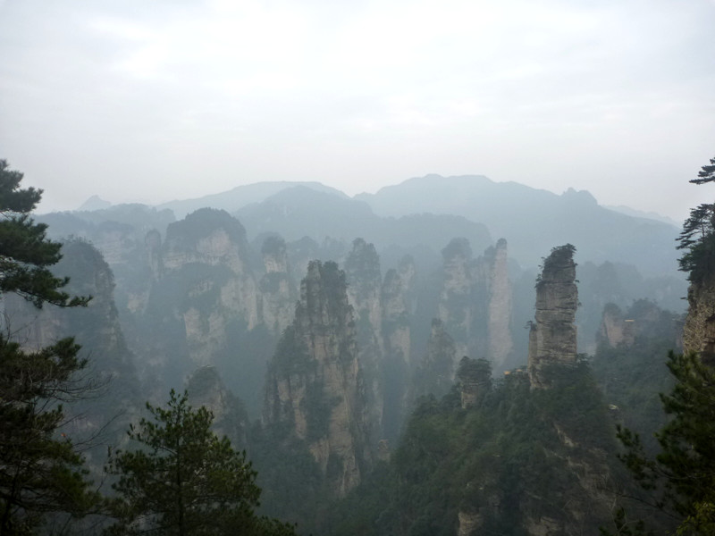 p1140282_.jpg