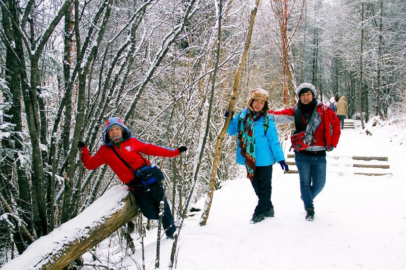 _mg_6536.jpg