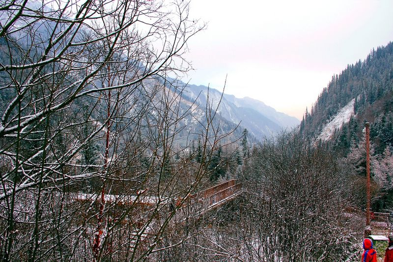 _mg_6569.jpg