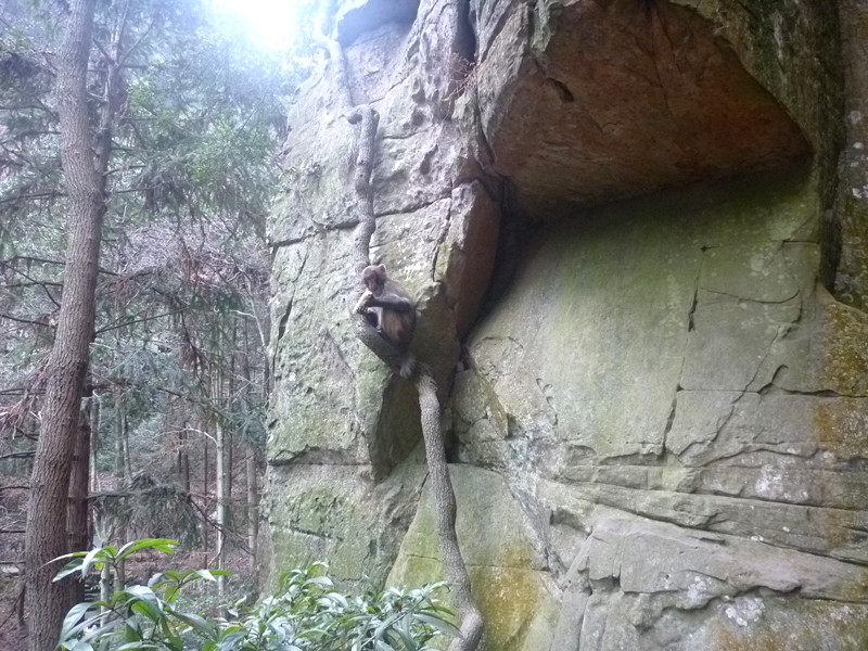 p1140298_.jpg