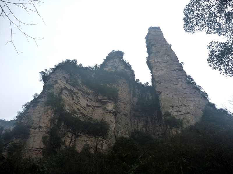 p1140310_.jpg