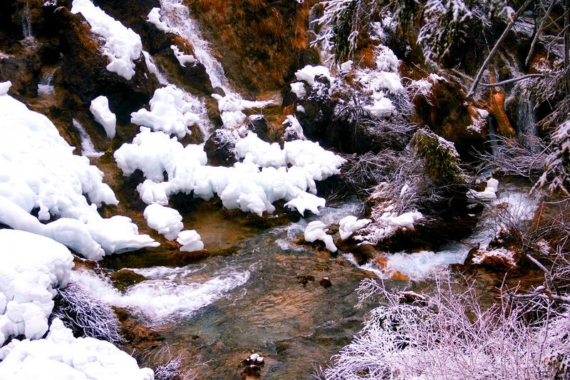 _mg_6795.jpg