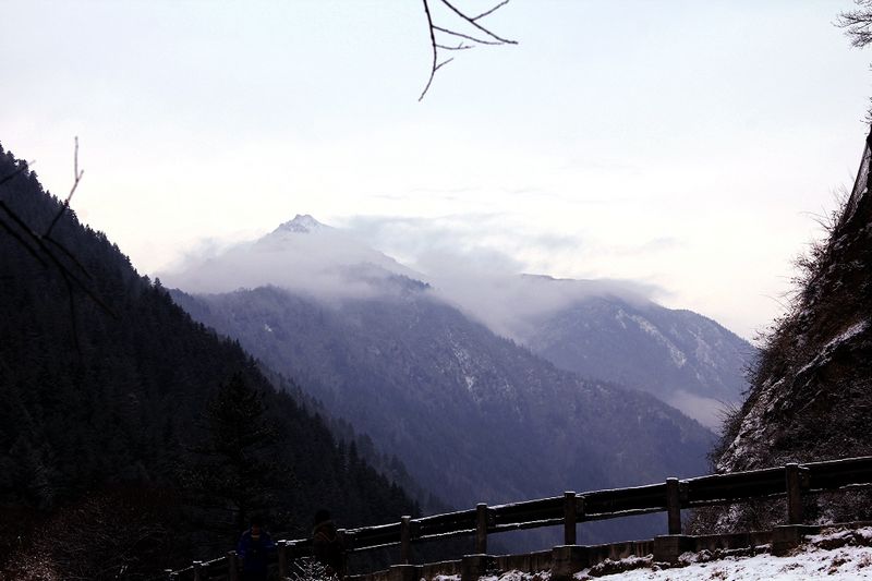 _mg_6803.jpg